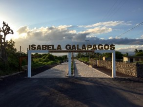 Galapagos Islands - Isla Isabela & Tintoreras